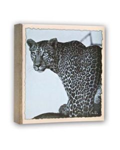 Zep WL57100 Album Slip-in 100 photos 13x19 cm - 12 albums