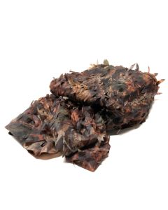 Buteo Photo Gear Camouflagenet 1 Gekleurd blad 2,4x3 m