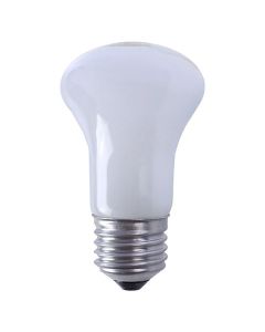 Falcon Eyes Halogeen Instellamp ML-60 60W E27 fitting